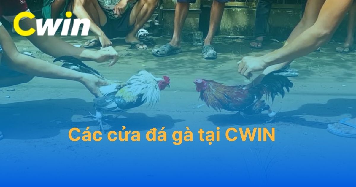 Các cửa đá gà tại CWIN có gì? Tân thủ nên chọn cửa cược nào?